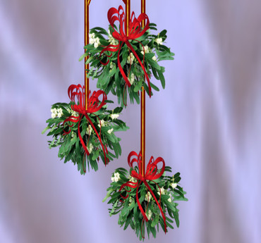 Mistletoe hanging